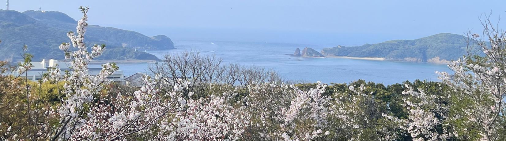 おすすめ！壱岐のお花見スポット