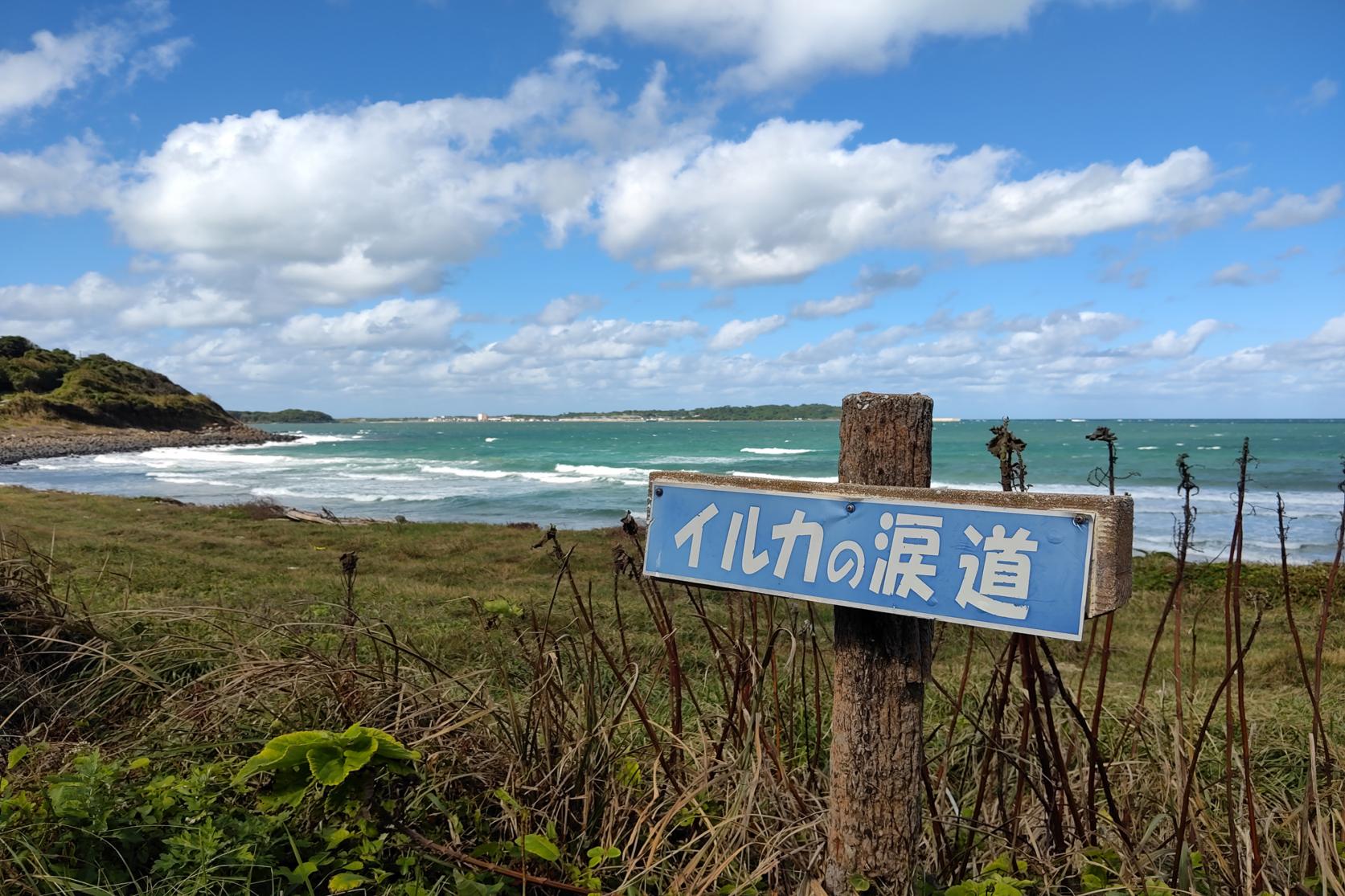 ⑤石田町（イルカ供養碑～白沙八幡鳥居）-5