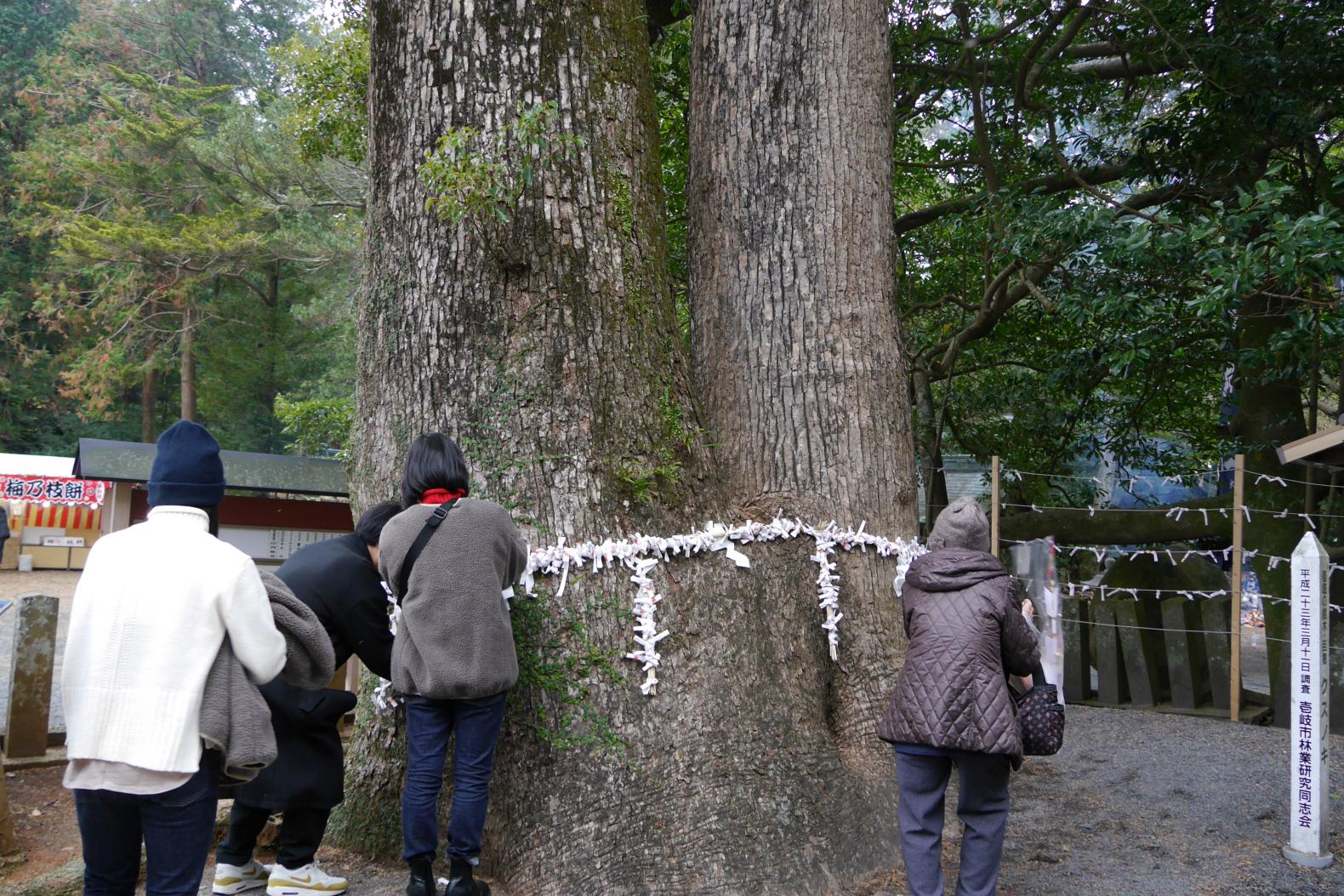 海の神々を祀る「住吉神社」-4