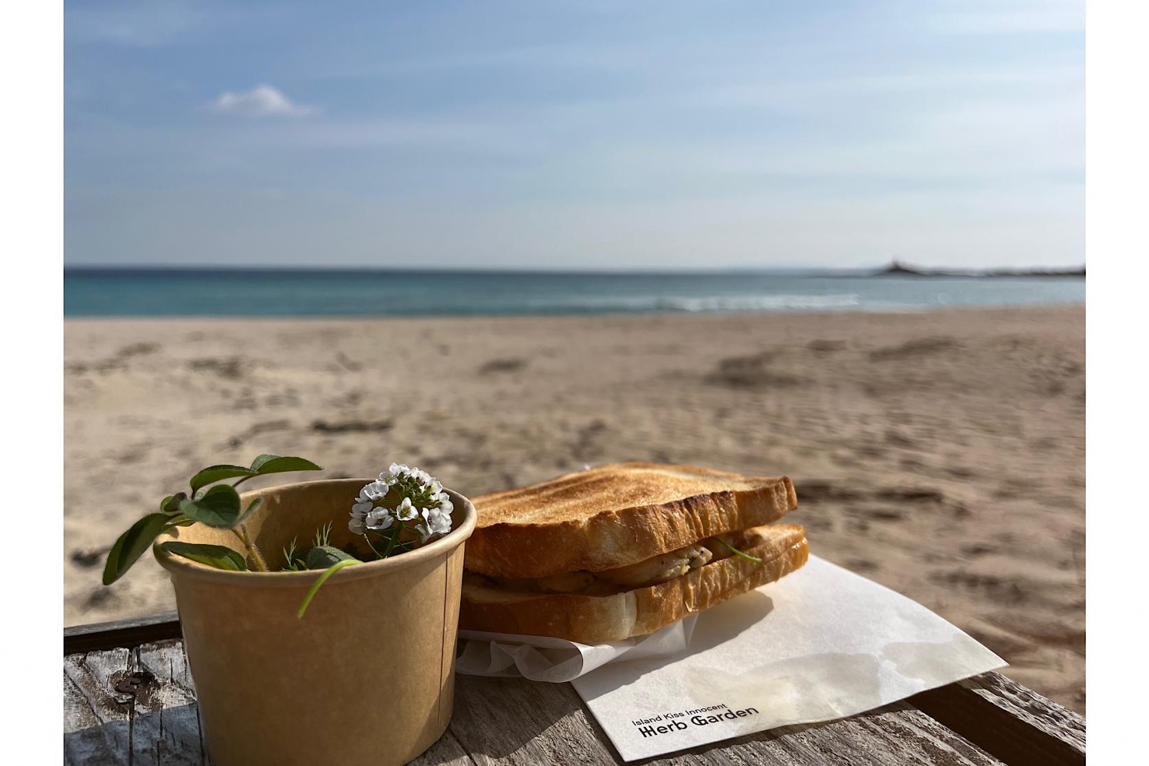 ベストシーズンはこれからの春〜夏〜秋-0