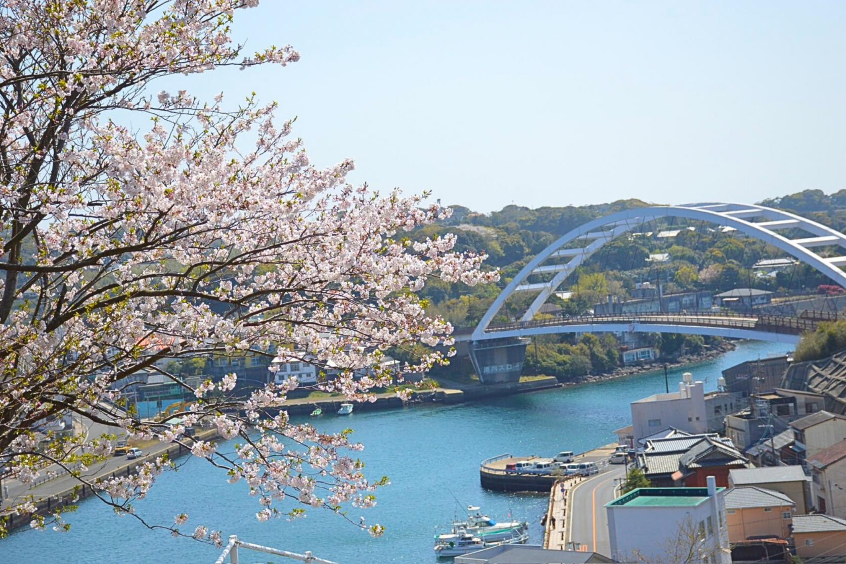 おすすめ！お花見スポット
～郷ノ浦町・石田町編～-1