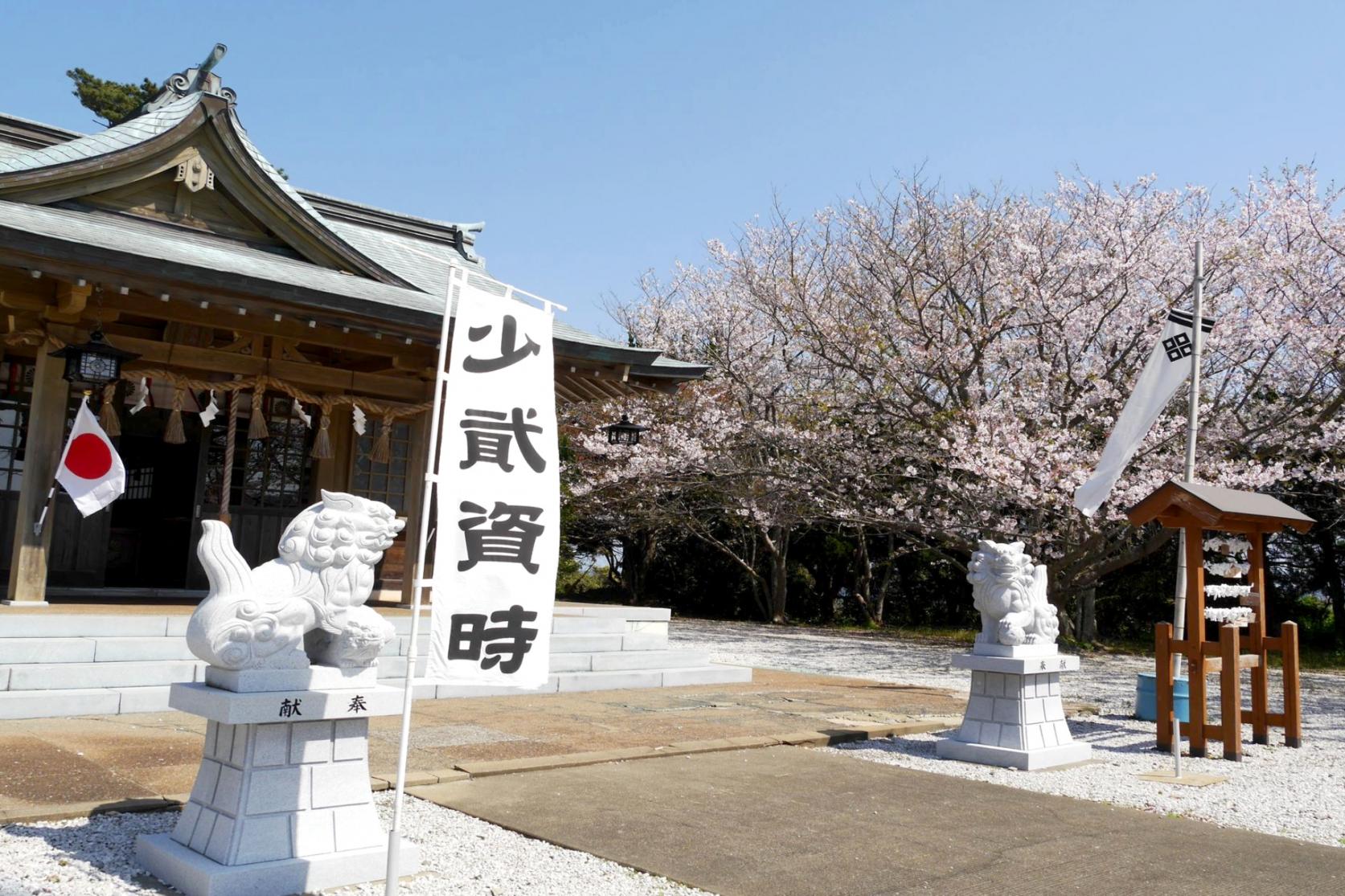 おすすめ！お花見スポット
～芦辺町・勝本町編～-1