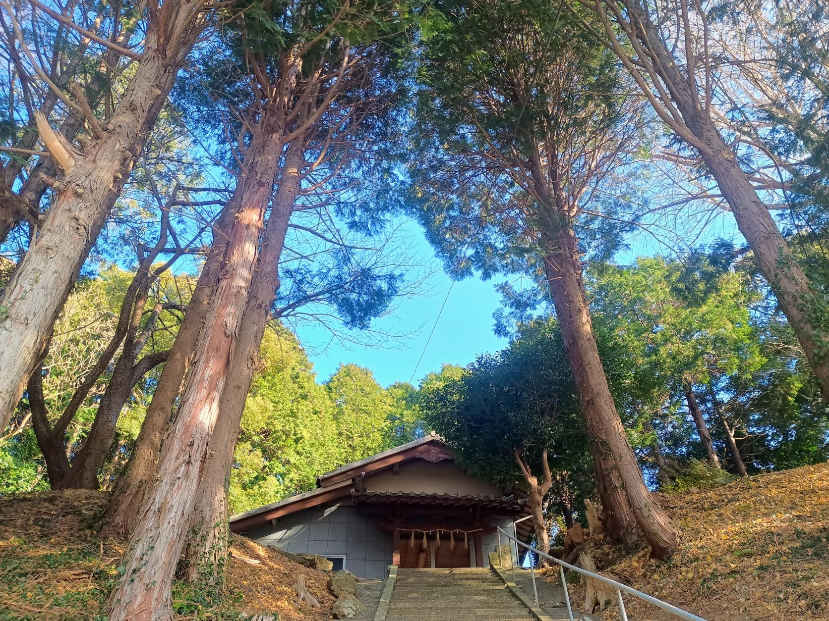 阿多彌神社-2